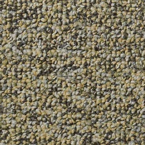 Multiplicity Tile